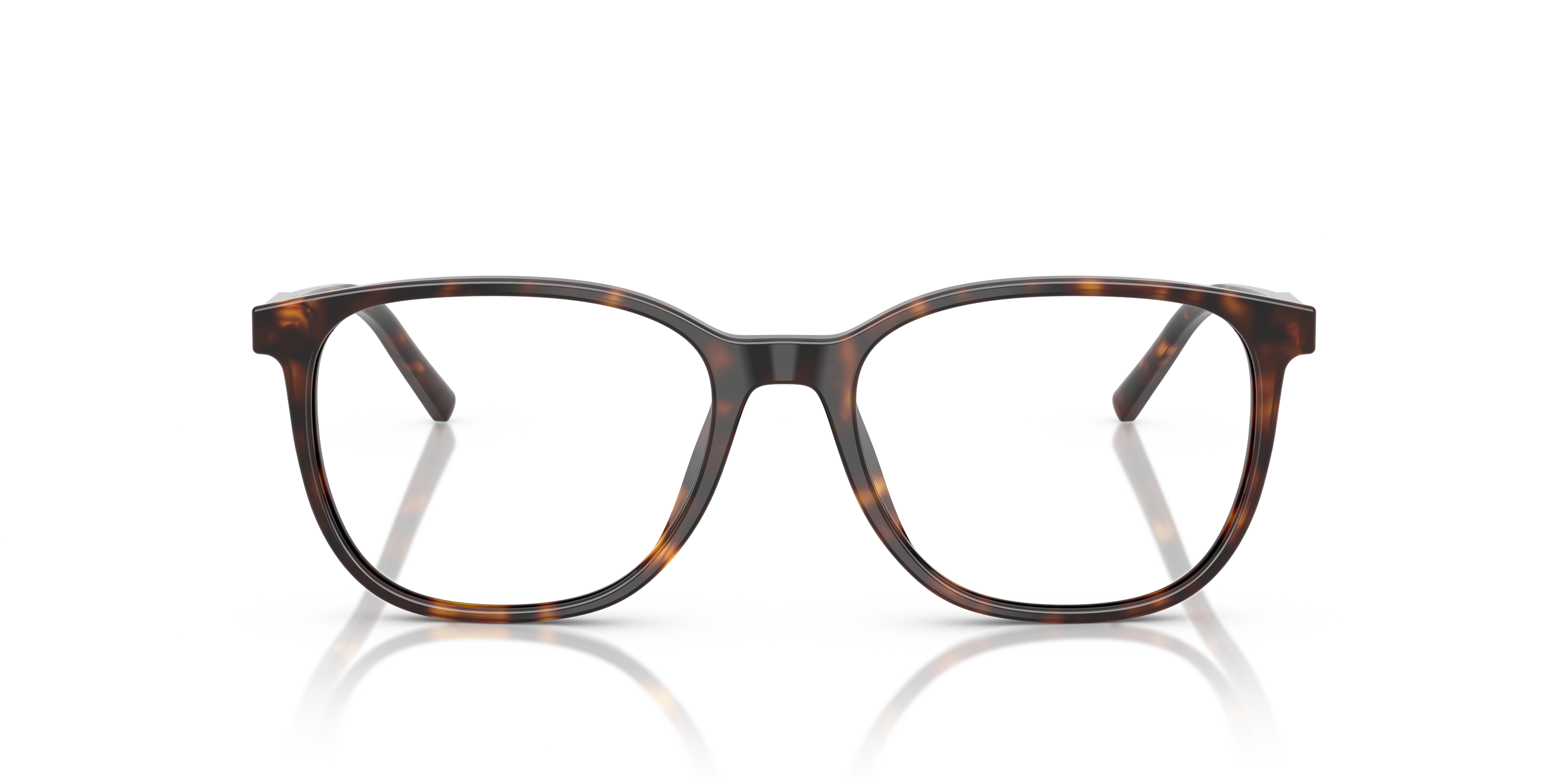 Dolce & Gabbana DG3426 502