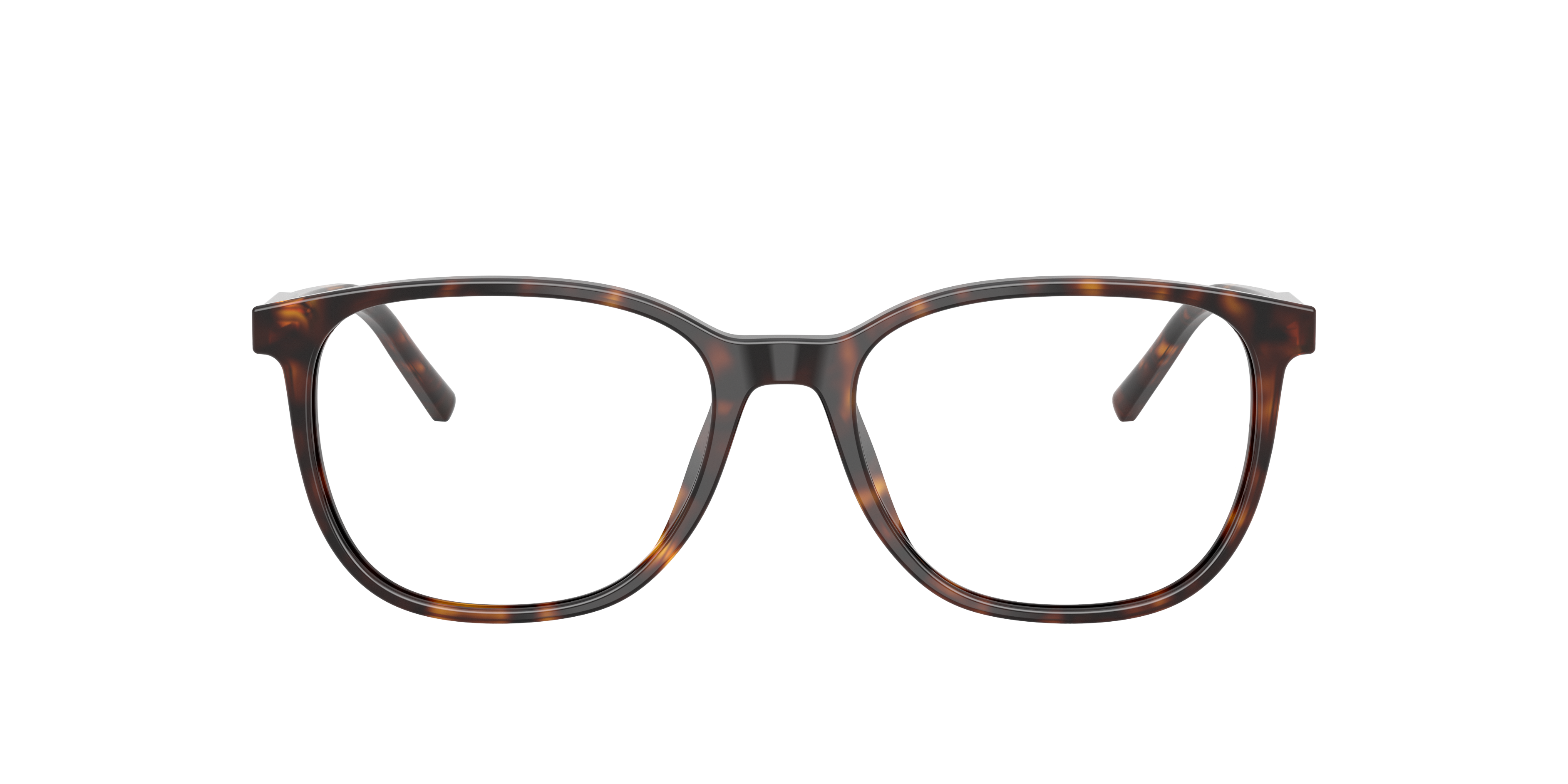 Dolce & Gabbana DG3426 502