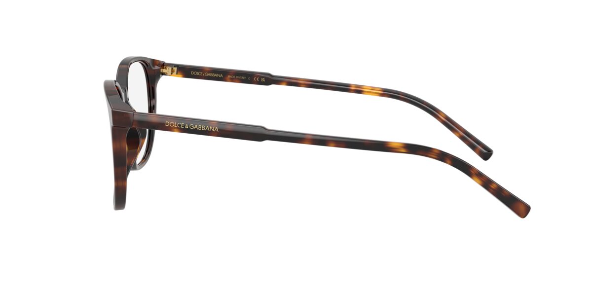 Dolce & Gabbana DG3426 502