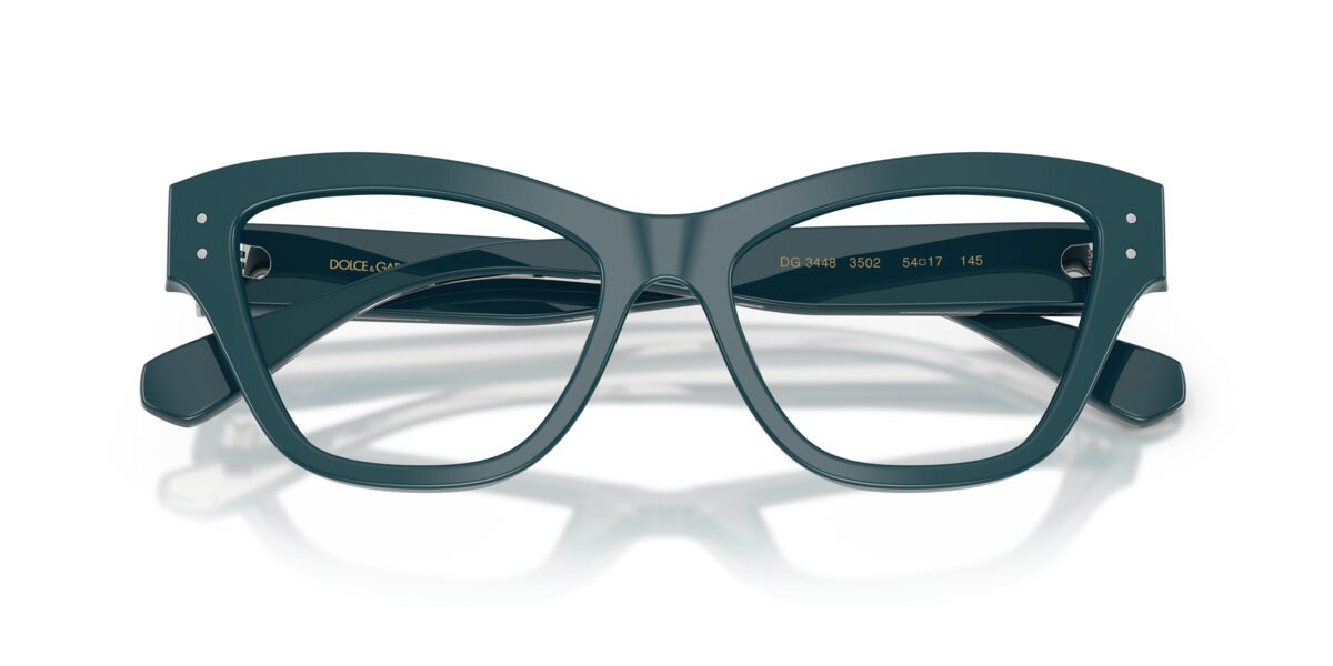 Dolce & Gabbana DG3448 3502