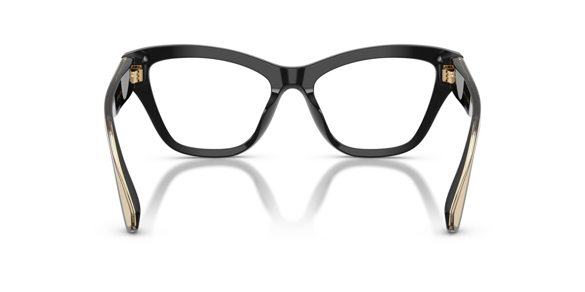 Dolce & Gabbana DG3448 501