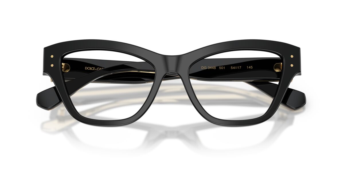 Dolce & Gabbana DG3448 501