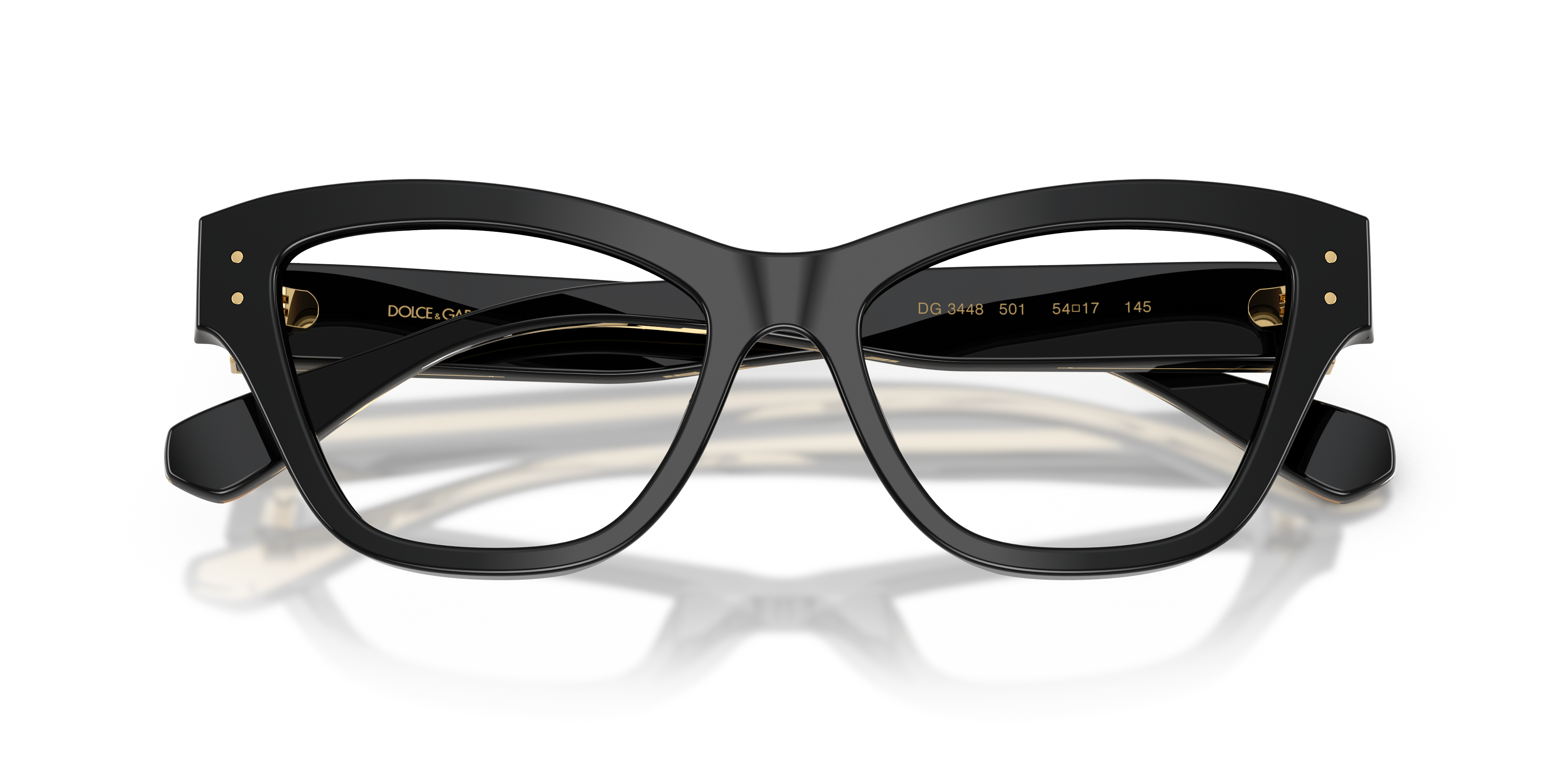 Dolce & Gabbana DG3448 501