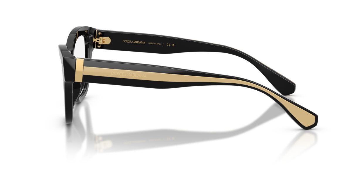 Dolce & Gabbana DG3448 501