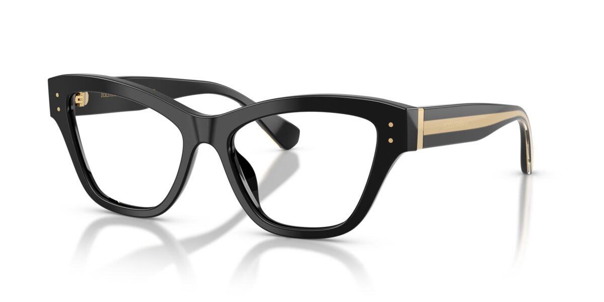 Dolce & Gabbana DG3448 501