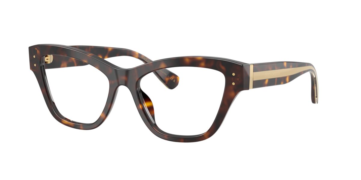 Dolce & Gabbana DG3448 502