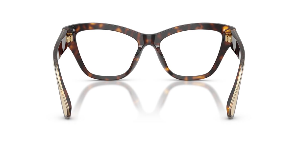 Dolce & Gabbana DG3448 502