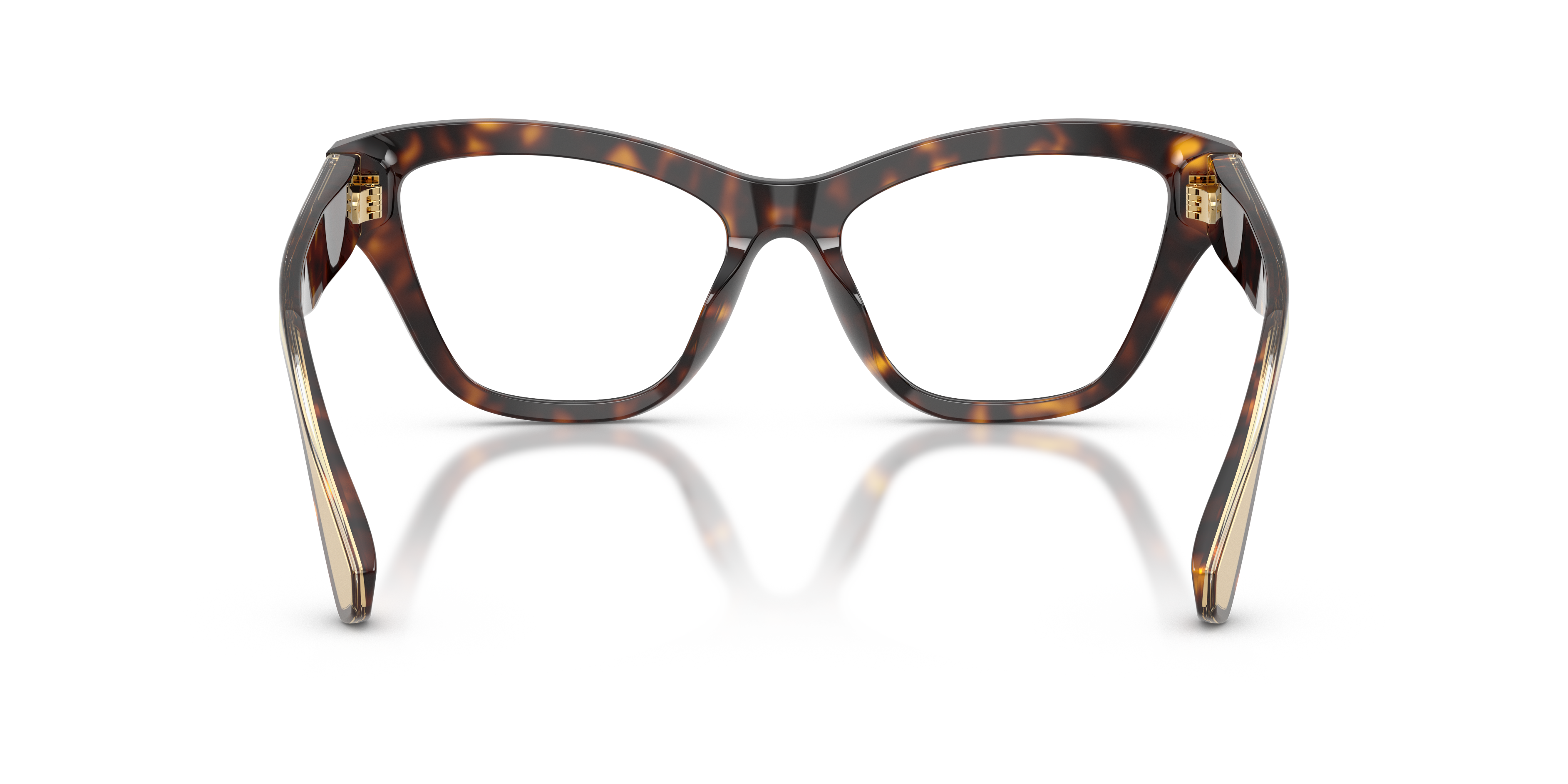 Dolce & Gabbana DG3448 502