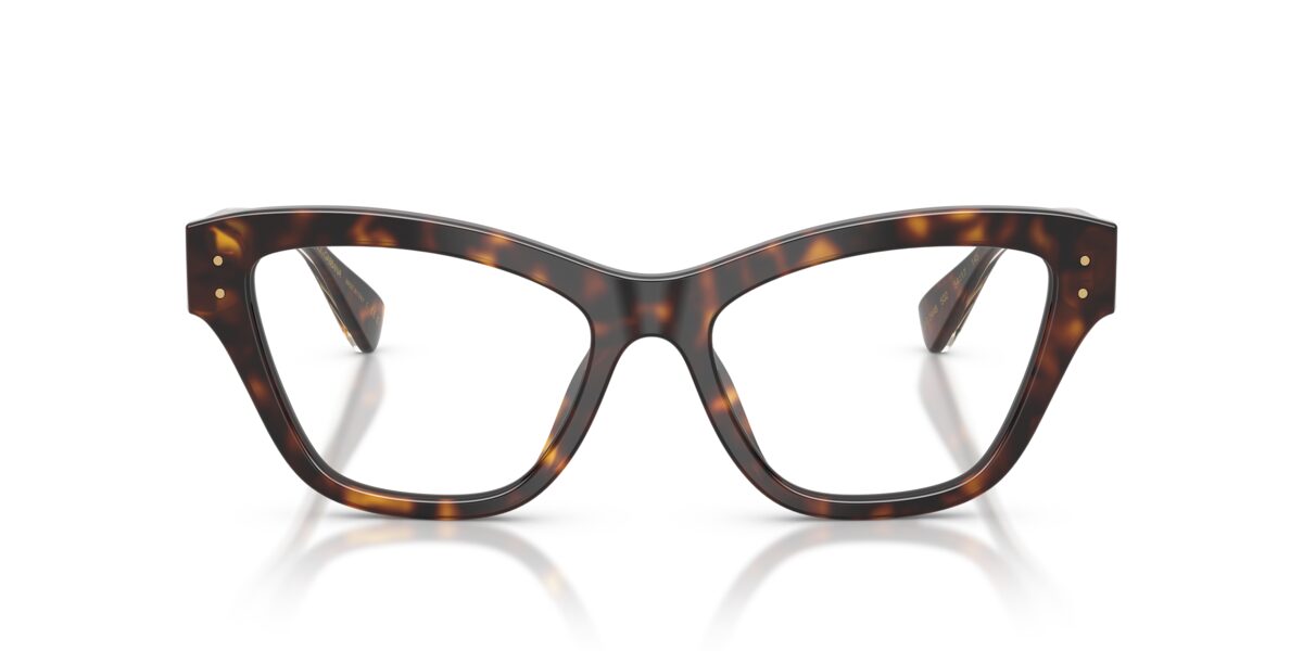 Dolce & Gabbana DG3448 502