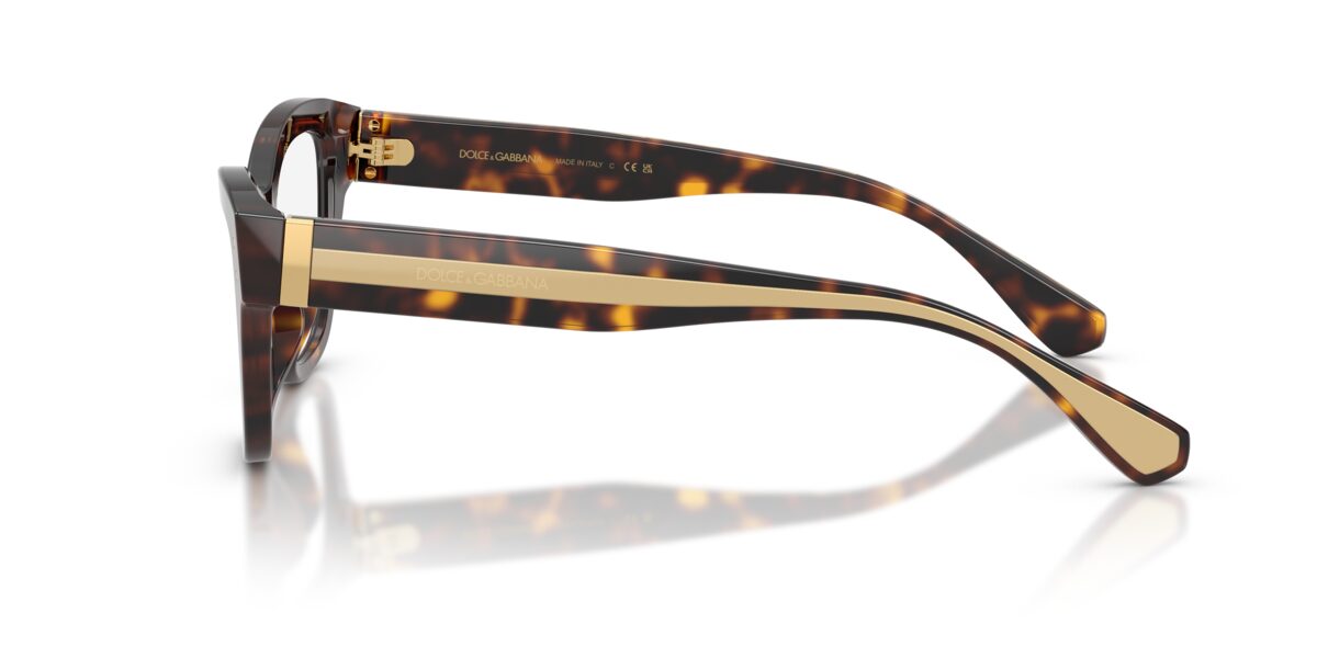 Dolce & Gabbana DG3448 502