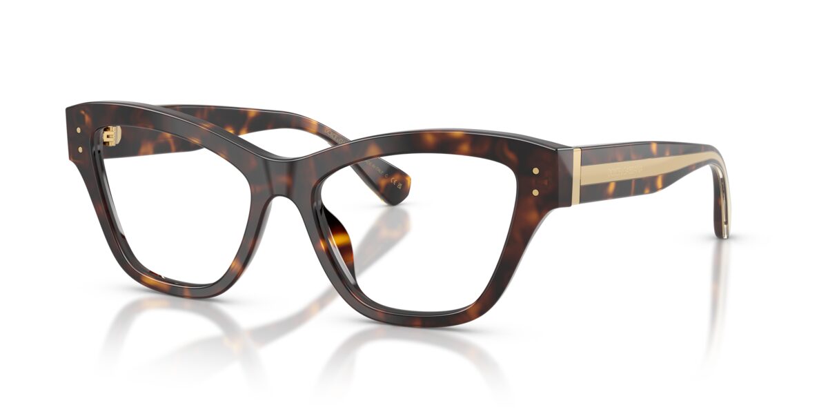 Dolce & Gabbana DG3448 502