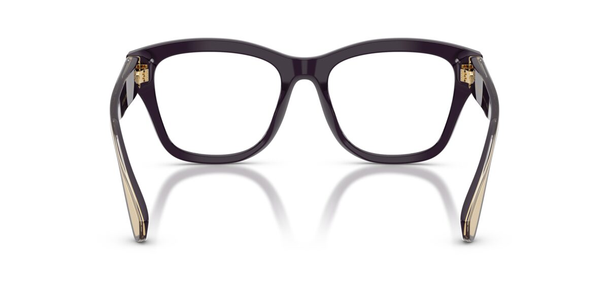 Dolce & Gabbana DG3449 3501