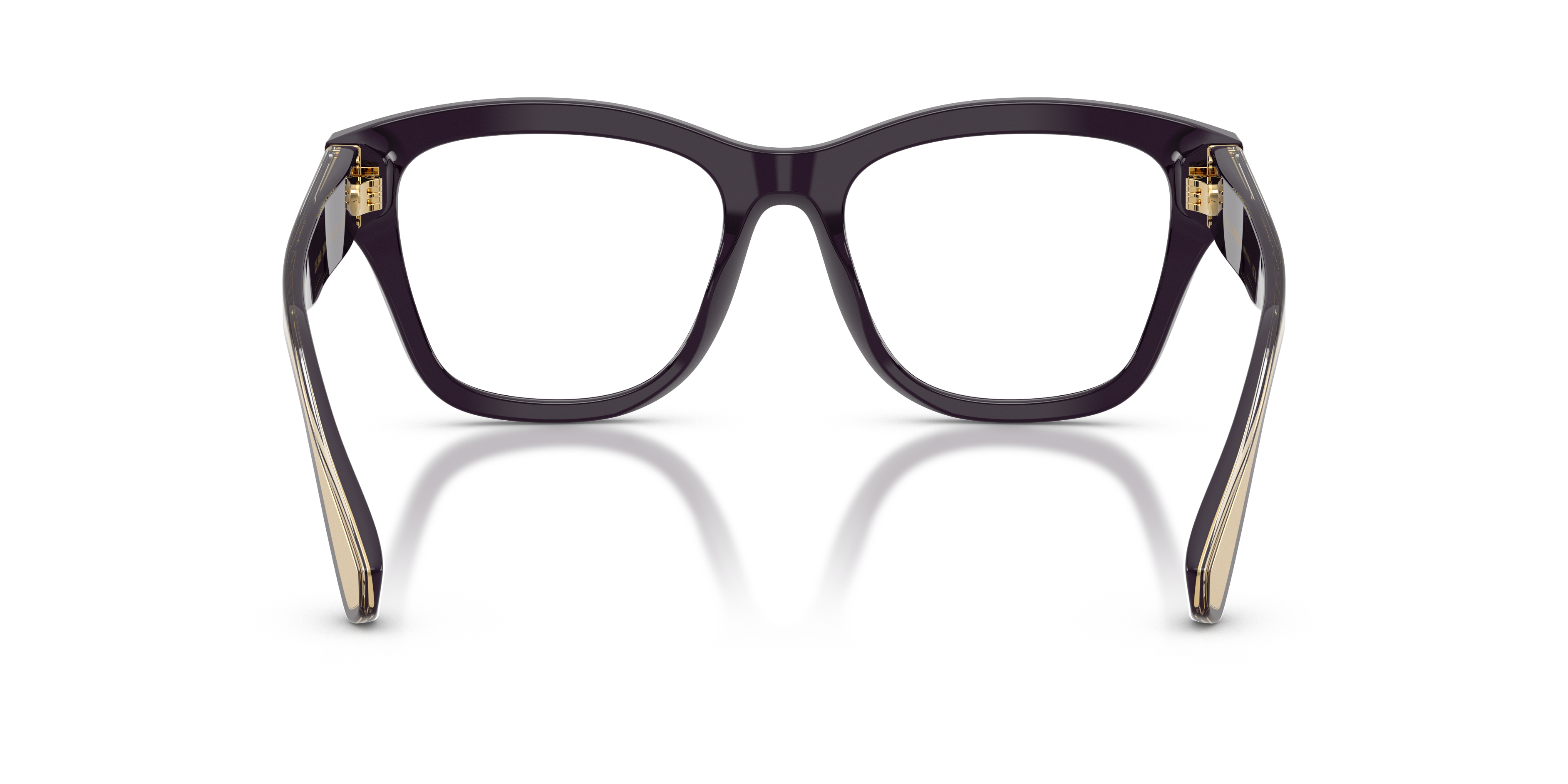 Dolce & Gabbana DG3449 3501