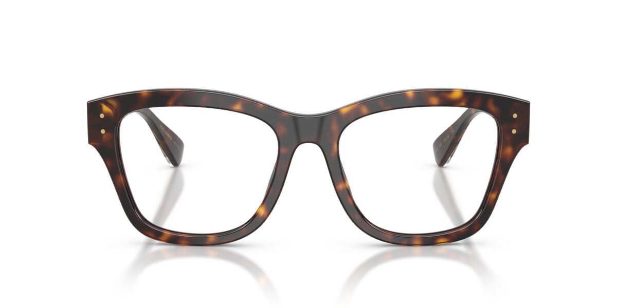 Dolce & Gabbana DG3449 502