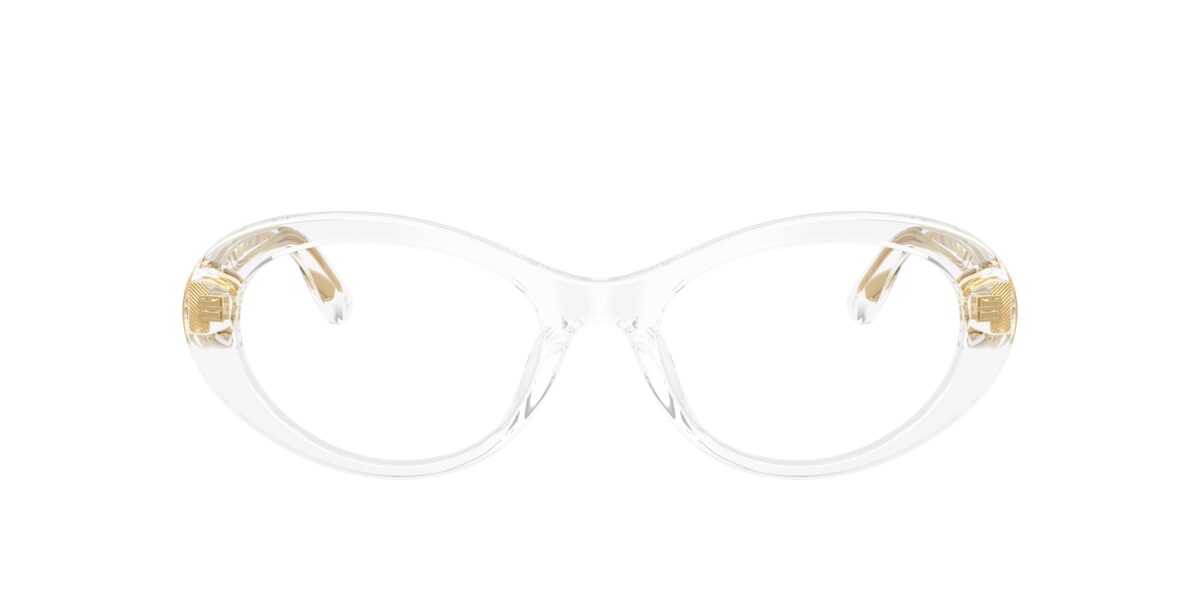 Dolce & Gabbana DG3450 3133