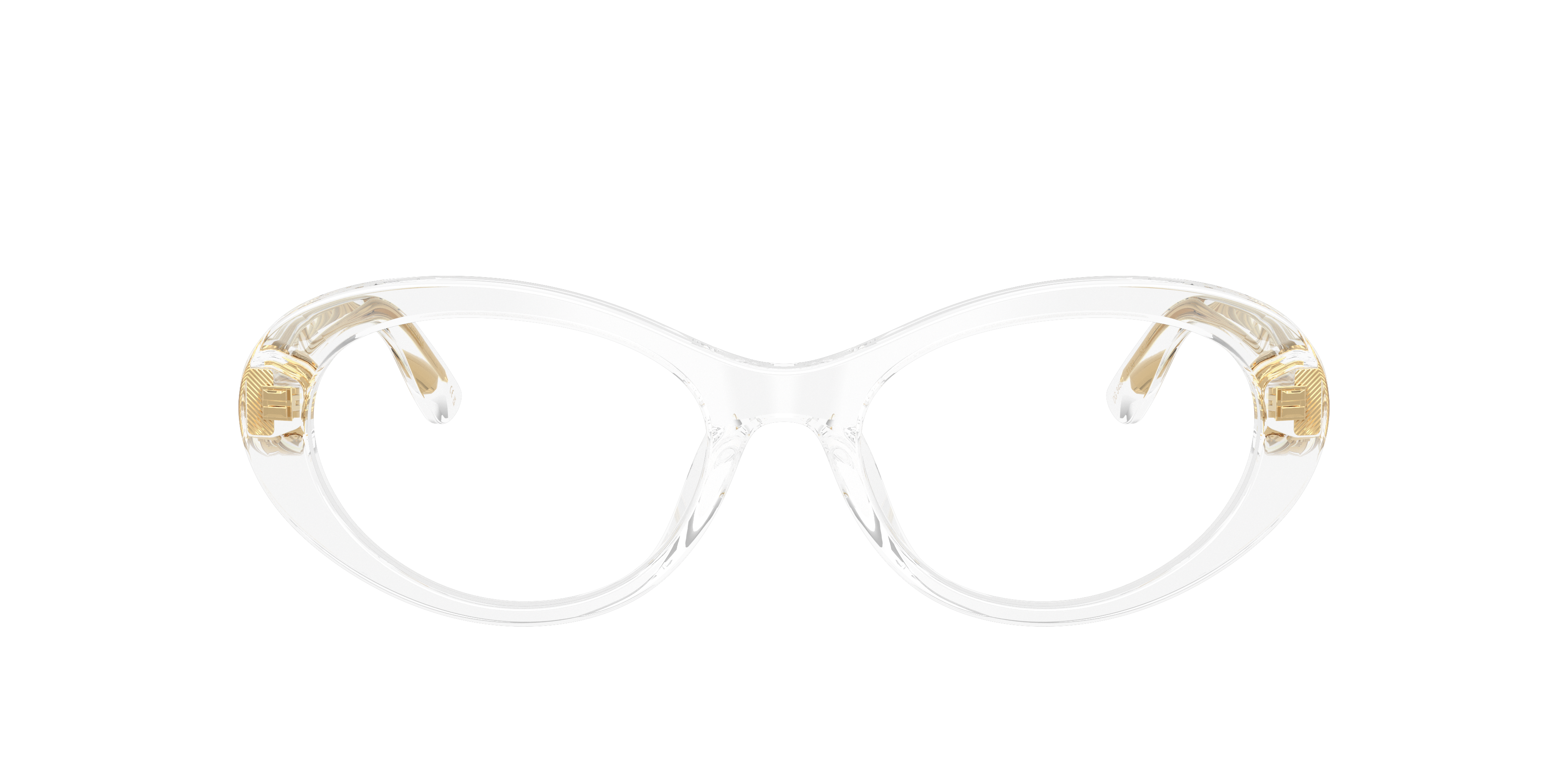 Dolce & Gabbana DG3450 3133