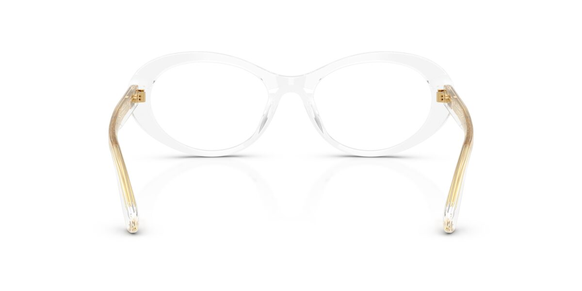 Dolce & Gabbana DG3450 3133