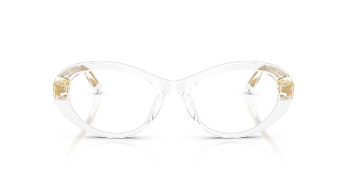 Dolce & Gabbana DG3450 3133