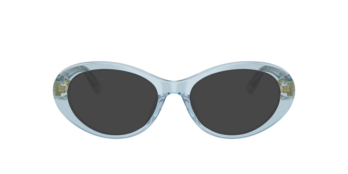 Dolce & Gabbana DG3450 3134
