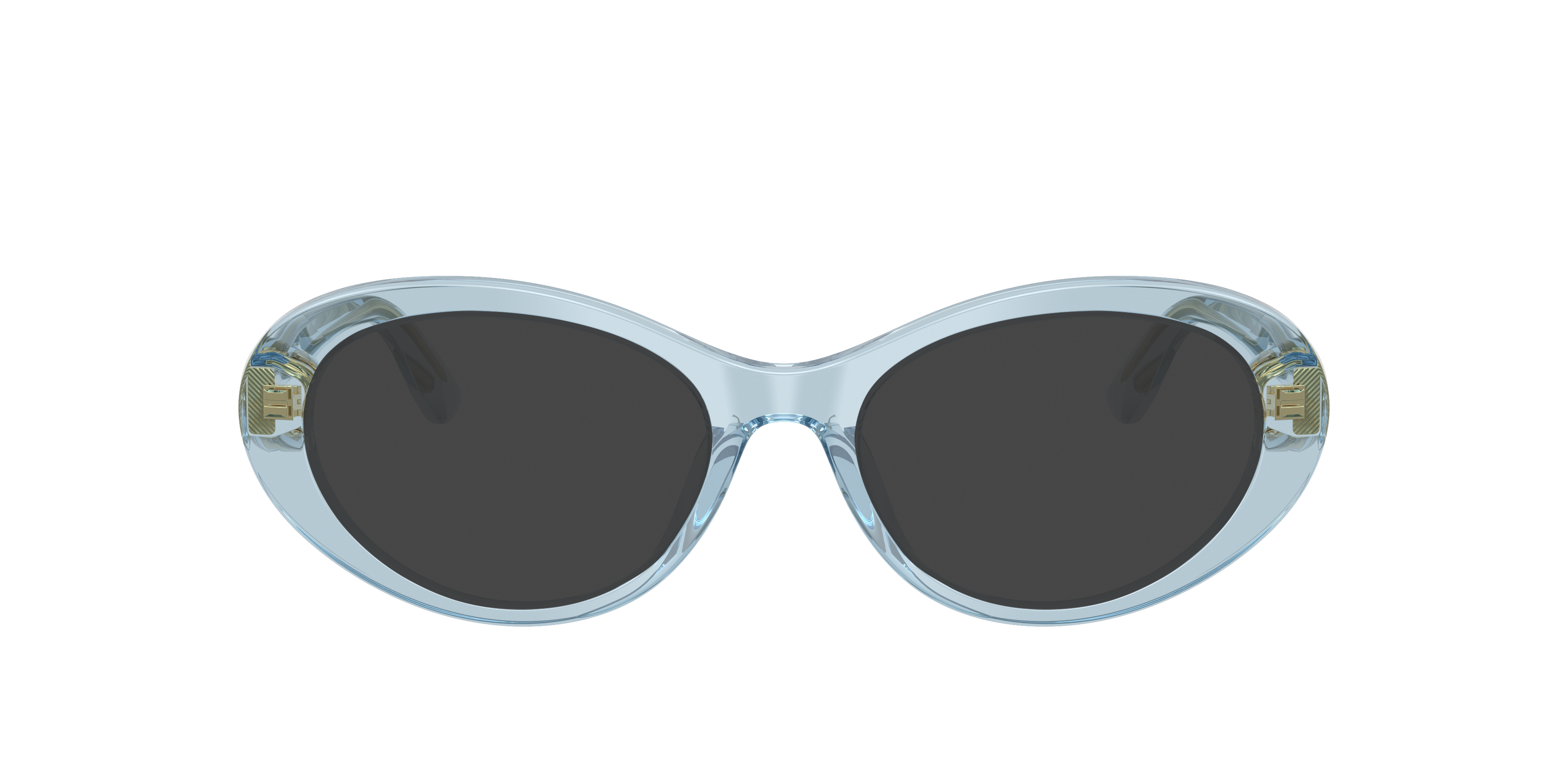 Dolce & Gabbana DG3450 3134