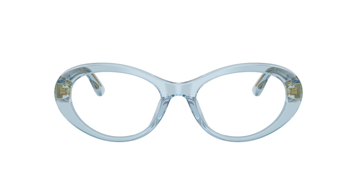 Dolce & Gabbana DG3450 3134