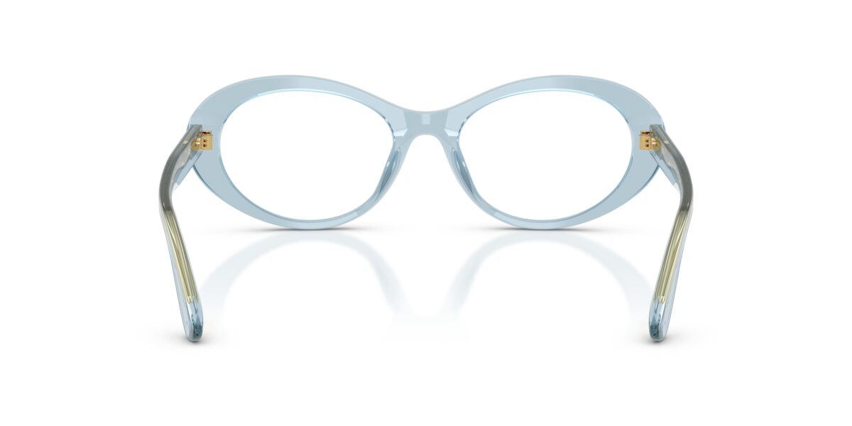Dolce & Gabbana DG3450 3134