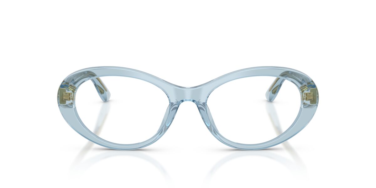 Dolce & Gabbana DG3450 3134