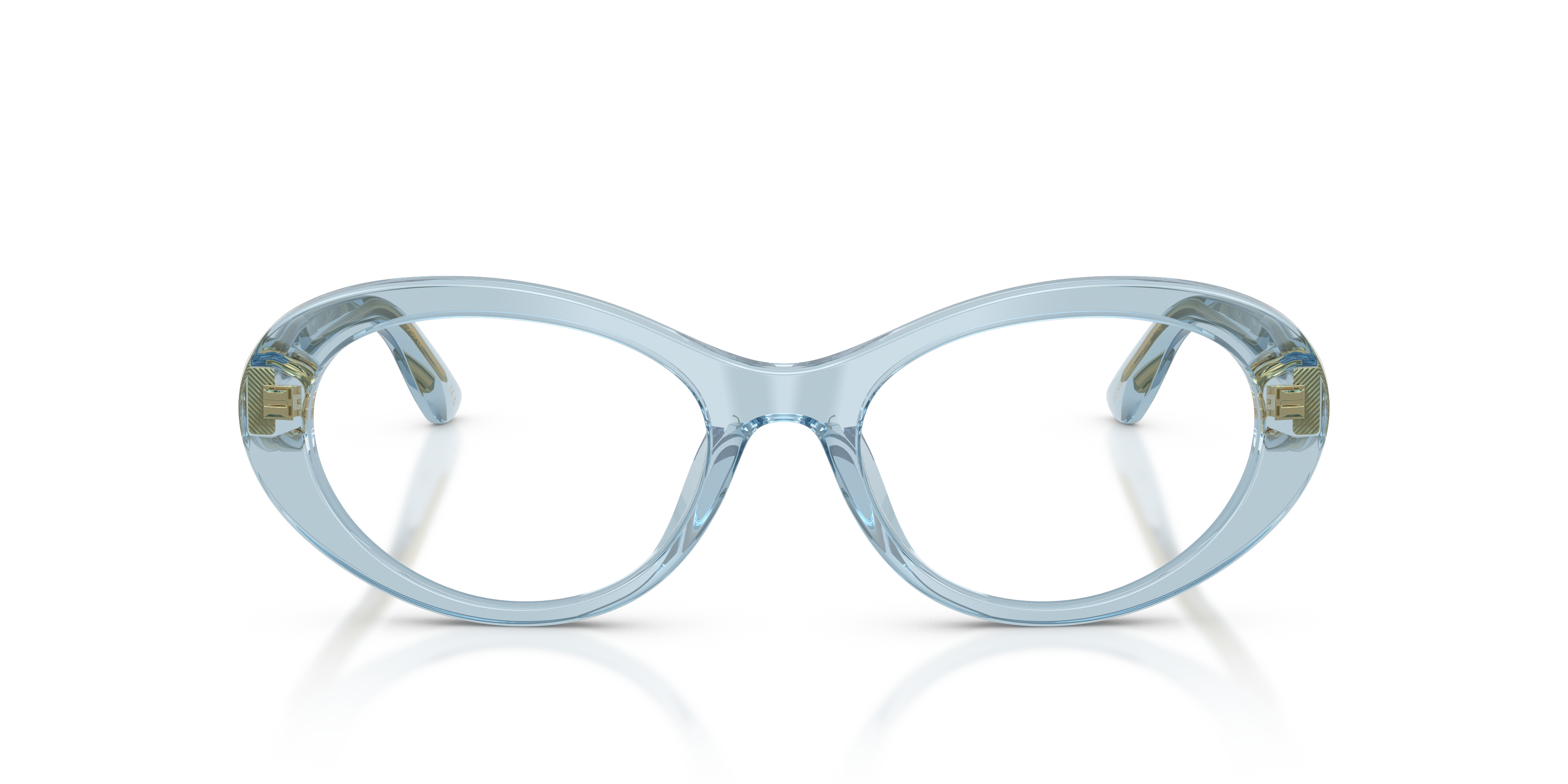 Dolce & Gabbana DG3450 3134