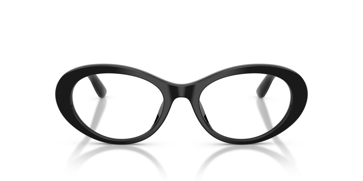 Dolce & Gabbana DG3450 501