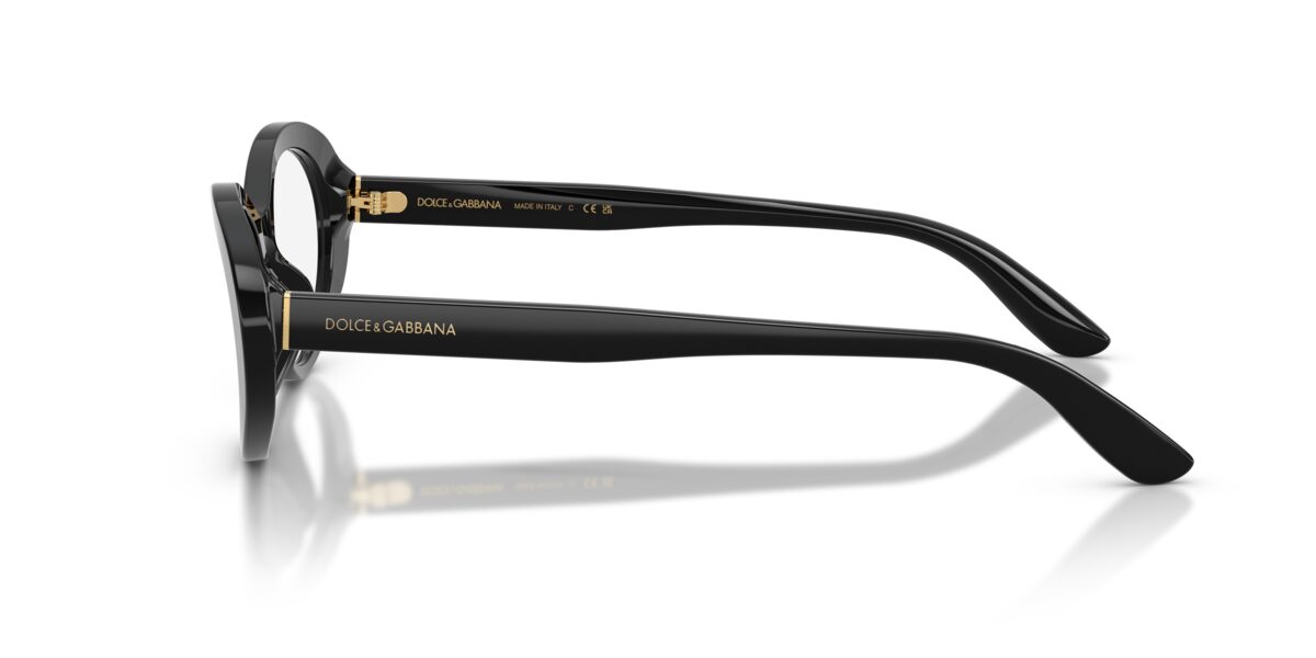 Dolce & Gabbana DG3450 501