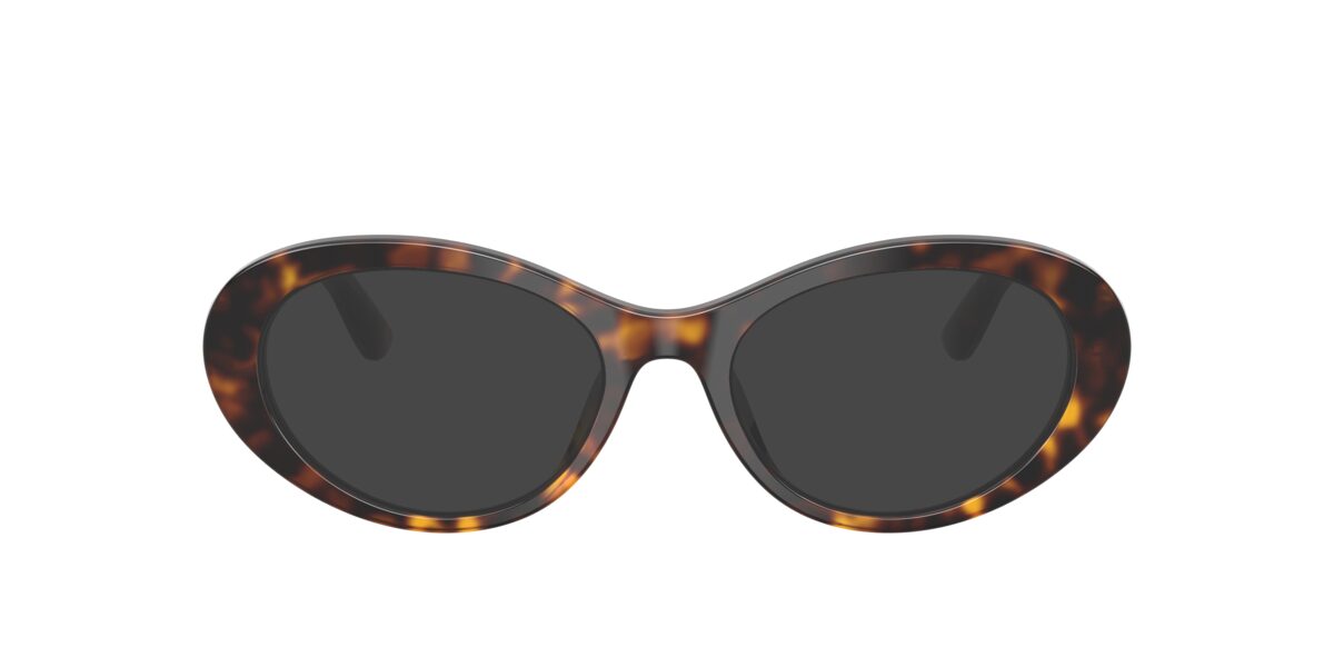 Dolce & Gabbana DG3450 502