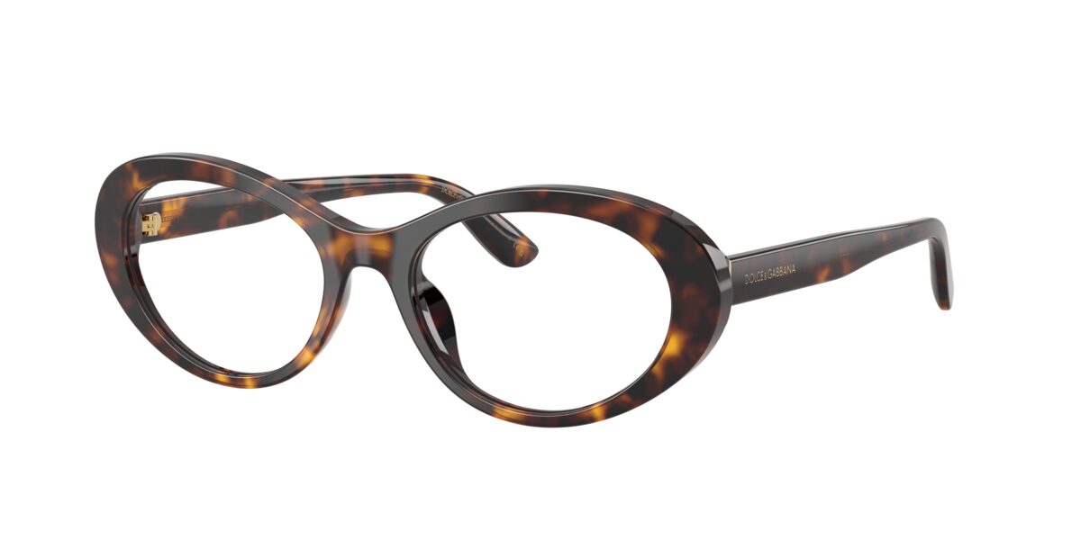 Dolce & Gabbana DG3450 502
