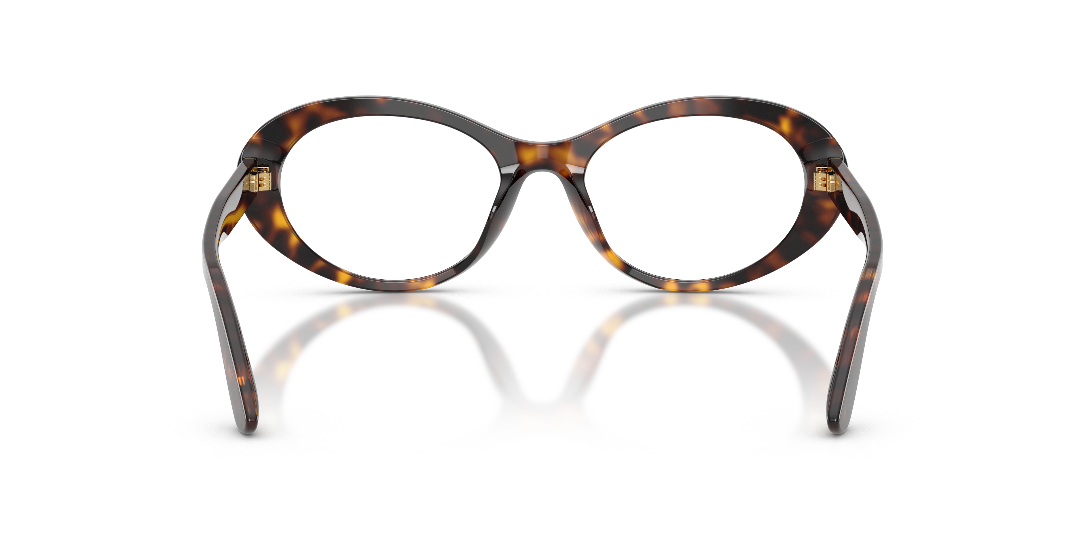 Dolce & Gabbana DG3450 502