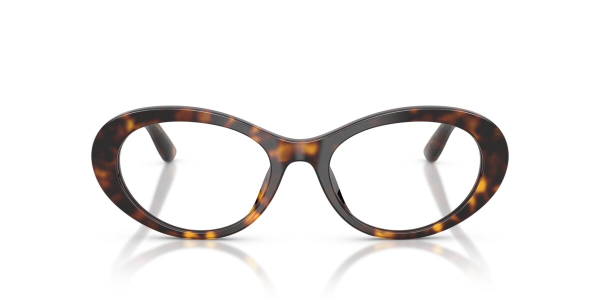 Dolce & Gabbana DG3450 502