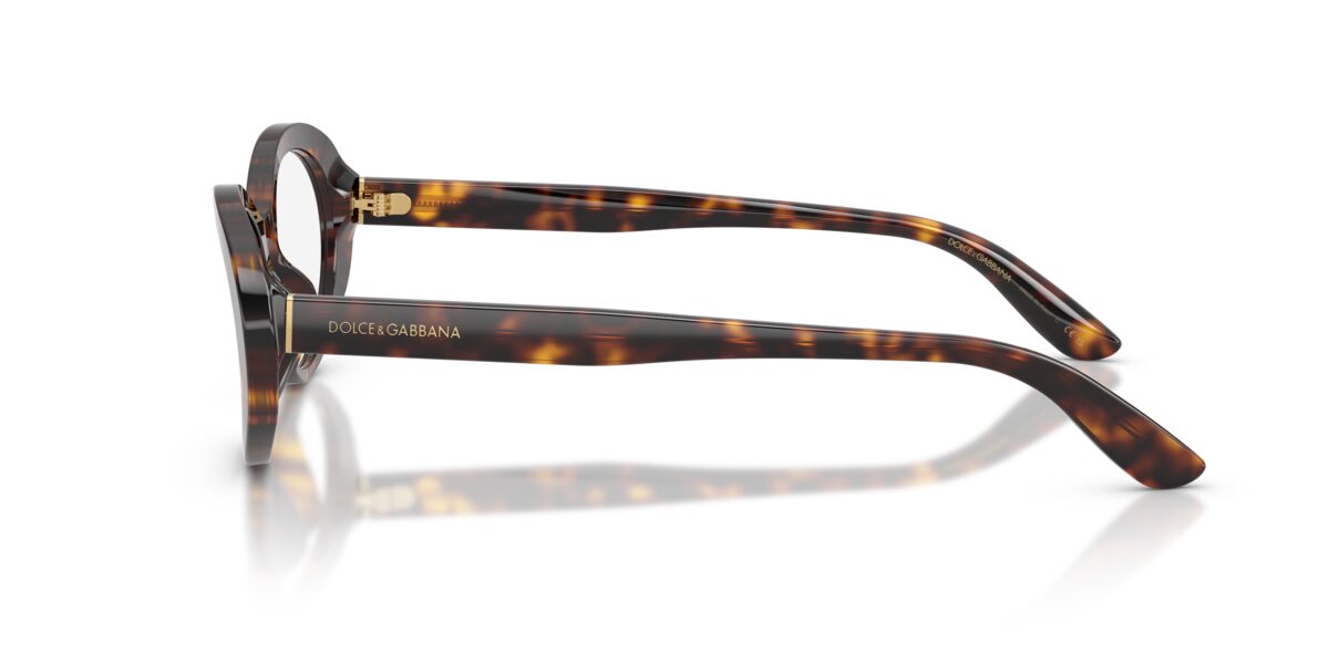Dolce & Gabbana DG3450 502