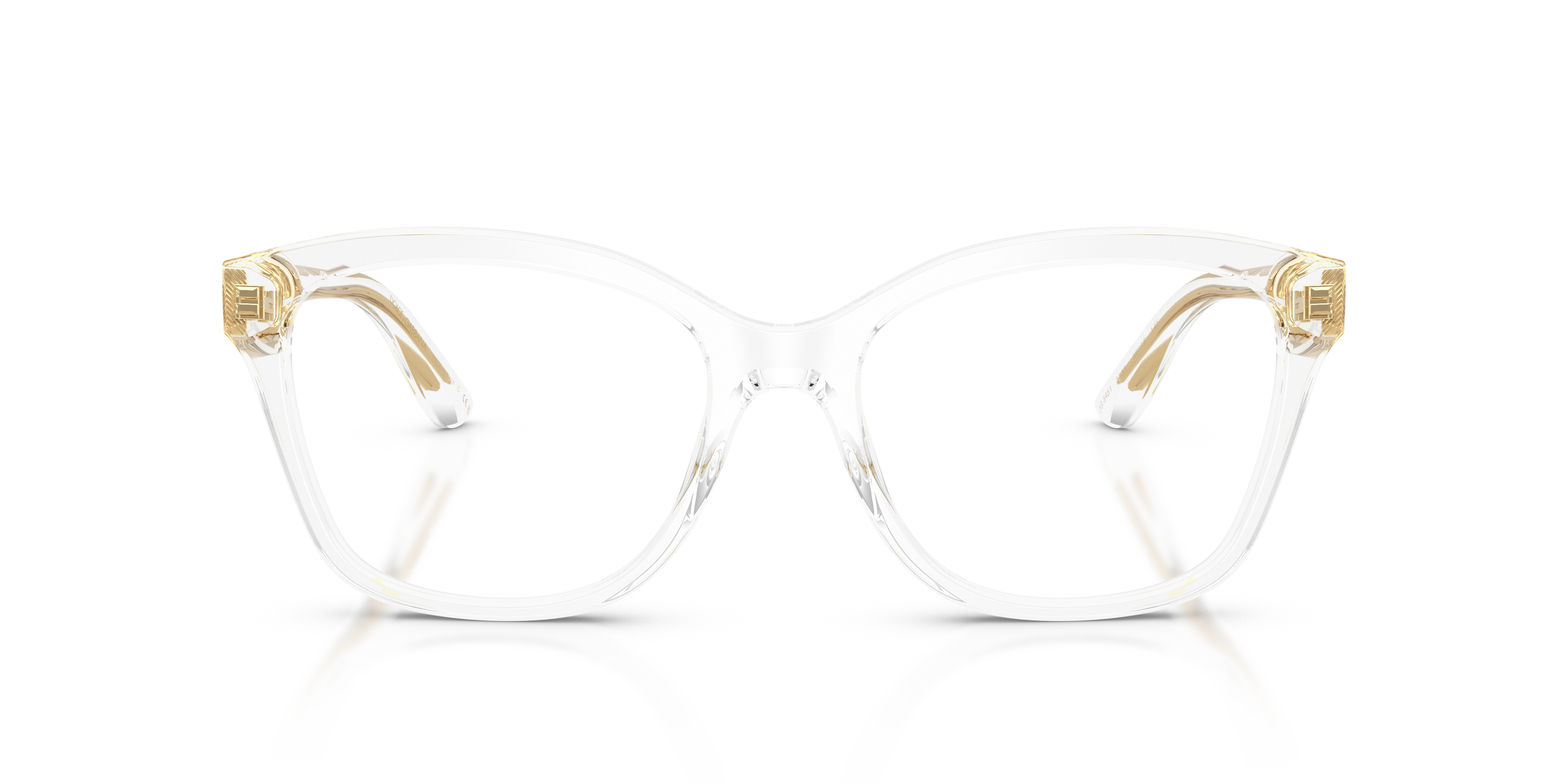 Dolce & Gabbana DG3451 3133
