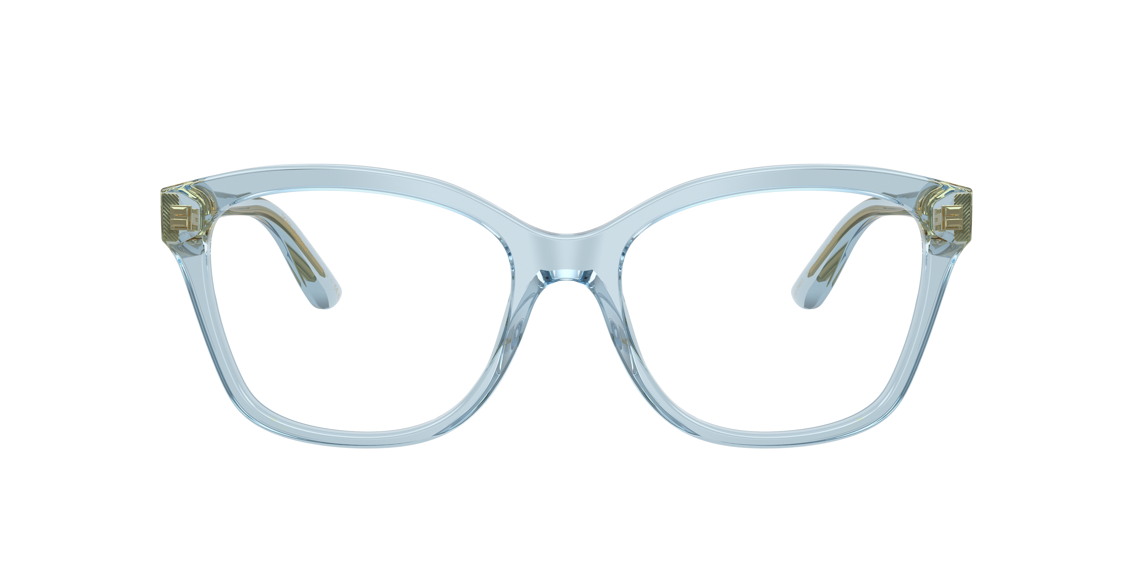 Dolce & Gabbana DG3451 3134