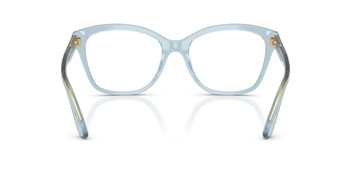 Dolce & Gabbana DG3451 3134