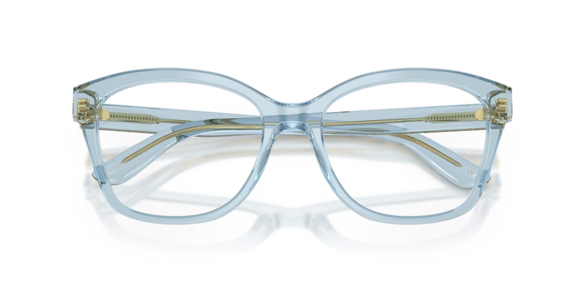 Dolce & Gabbana DG3451 3134