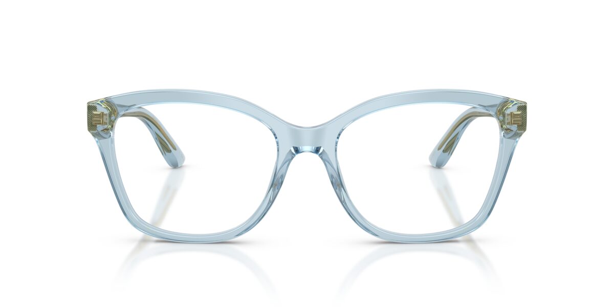 Dolce & Gabbana DG3451 3134