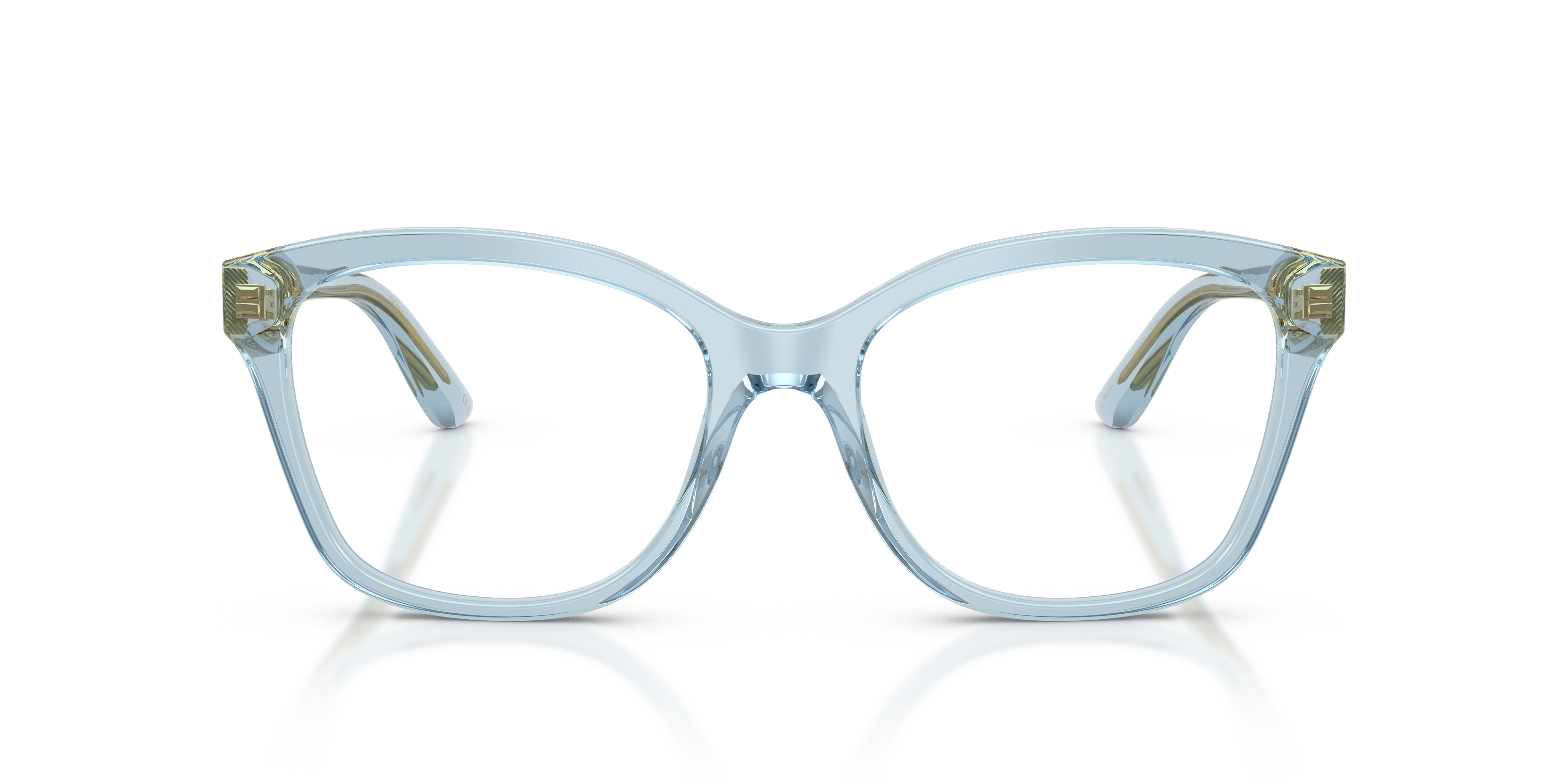 Dolce & Gabbana DG3451 3134