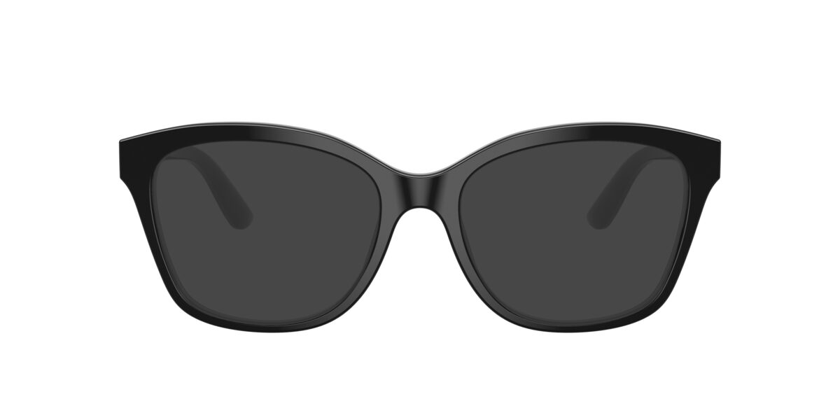 Dolce & Gabbana DG3451 501
