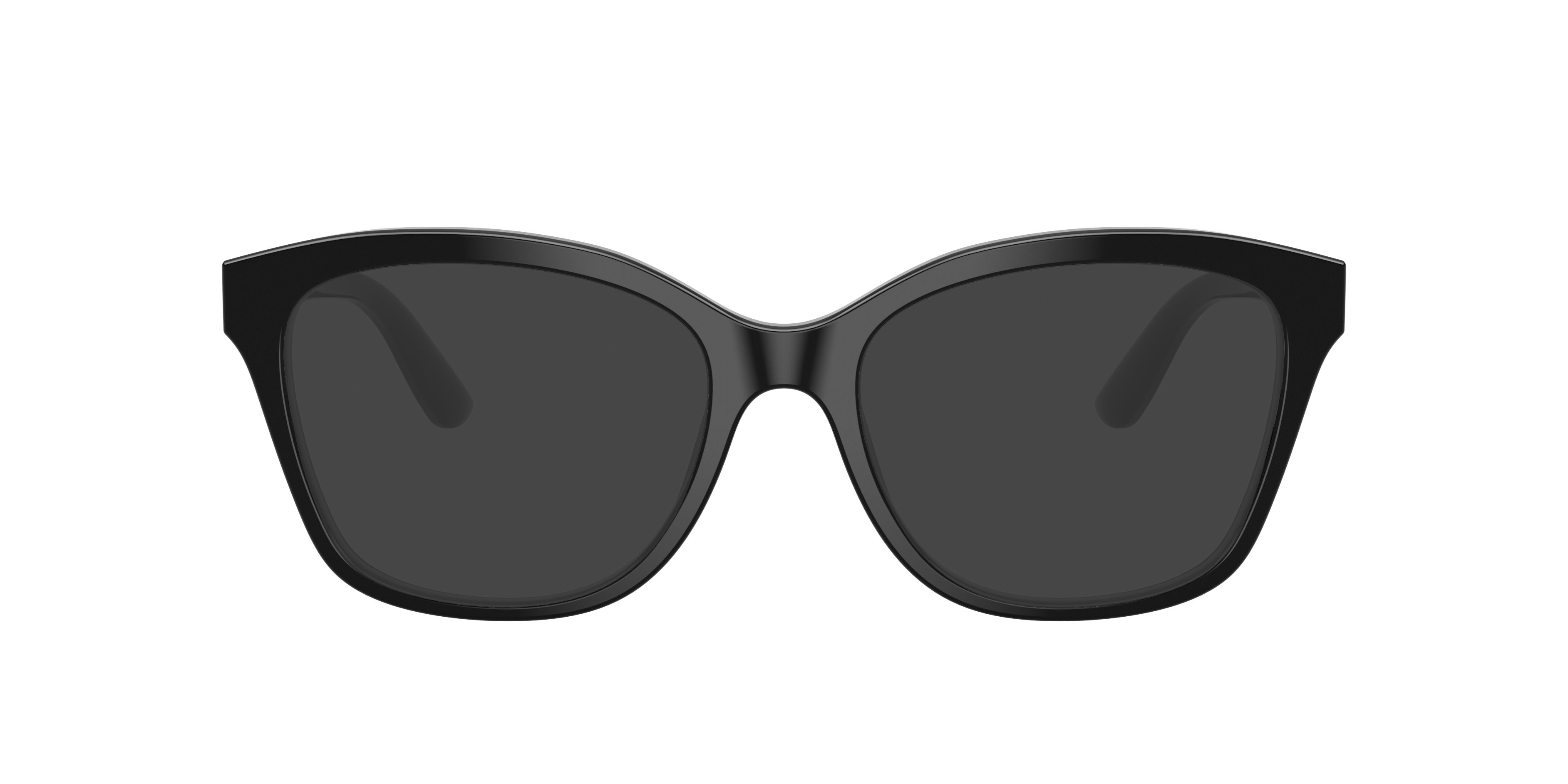 Dolce & Gabbana DG3451 501