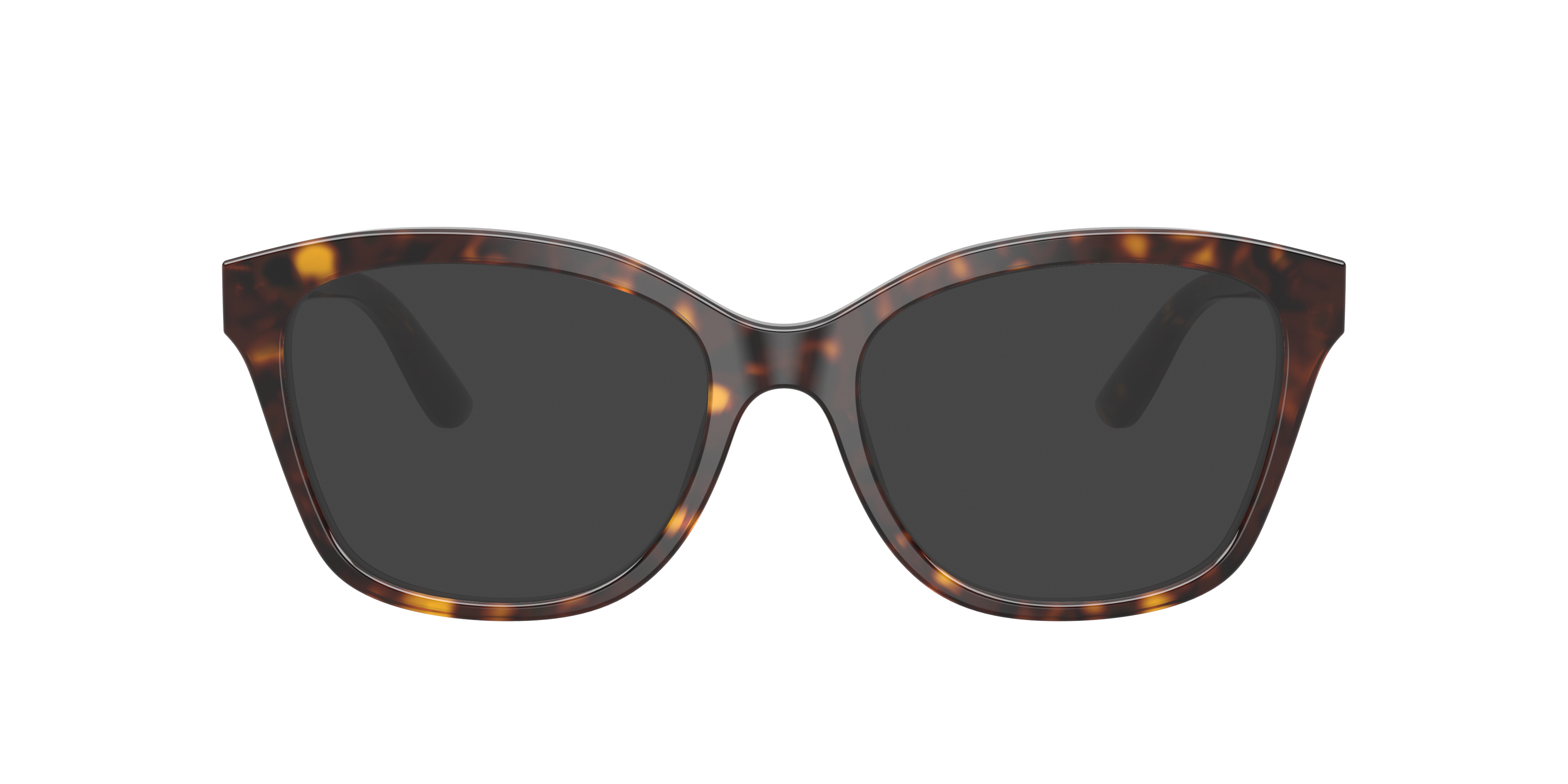 Dolce & Gabbana DG3451 502