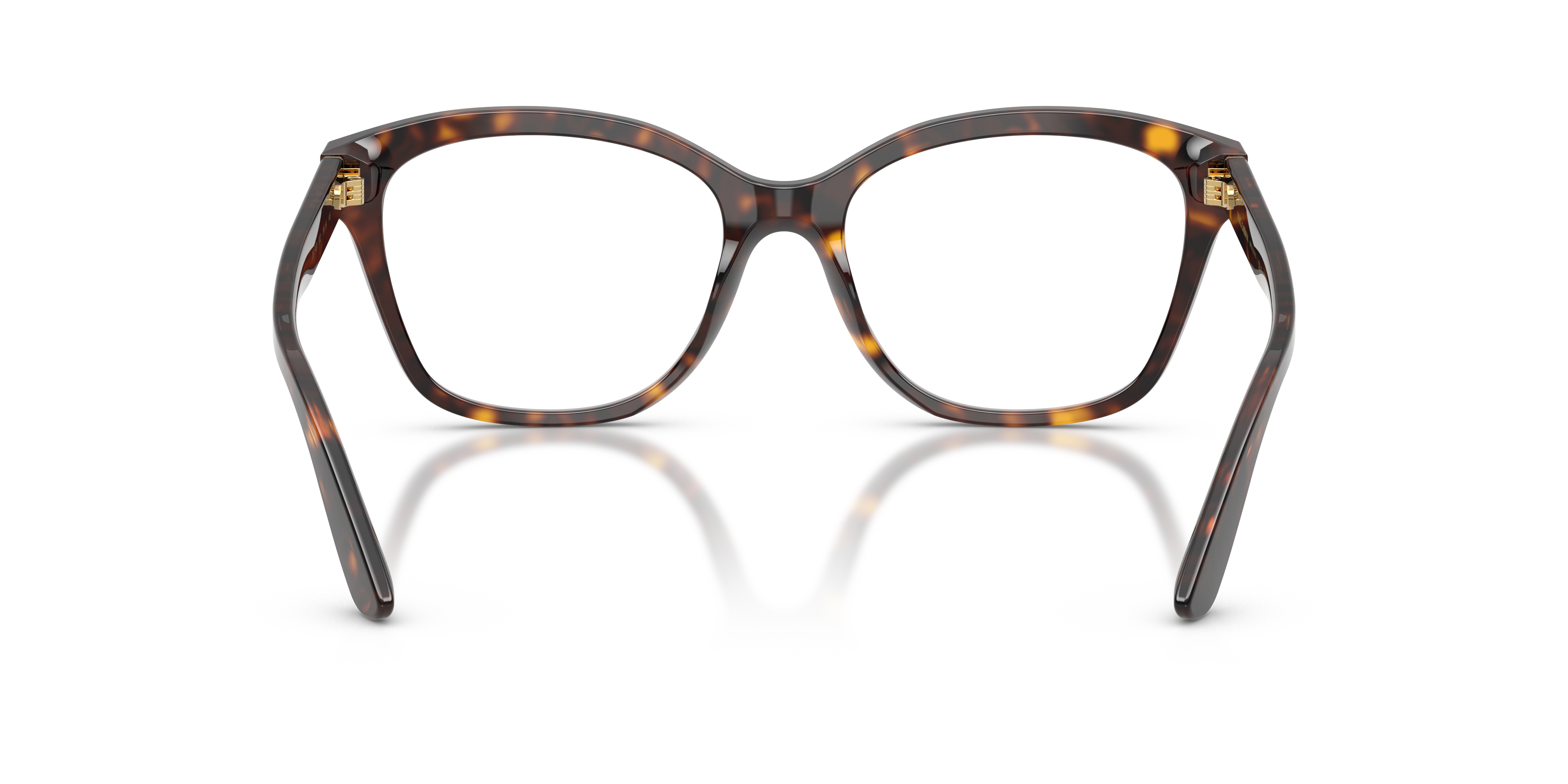 Dolce & Gabbana DG3451 502