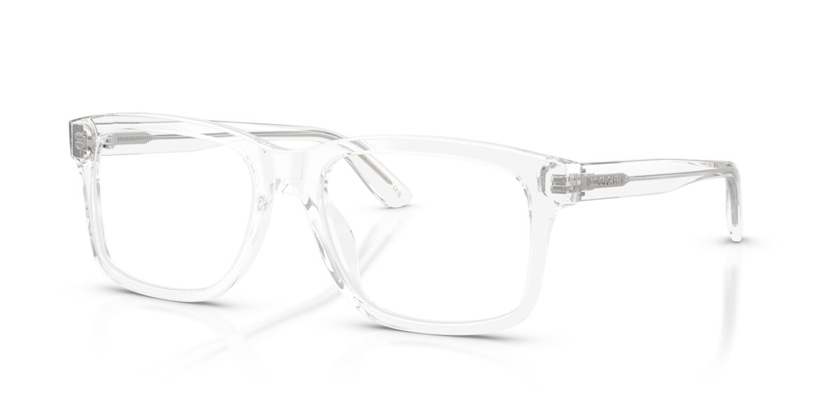 Dolce & Gabbana DG3453 3133