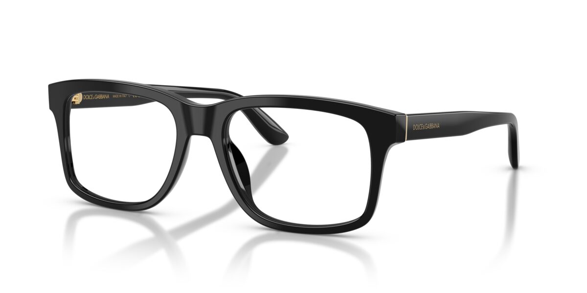 Dolce & Gabbana DG3453 501