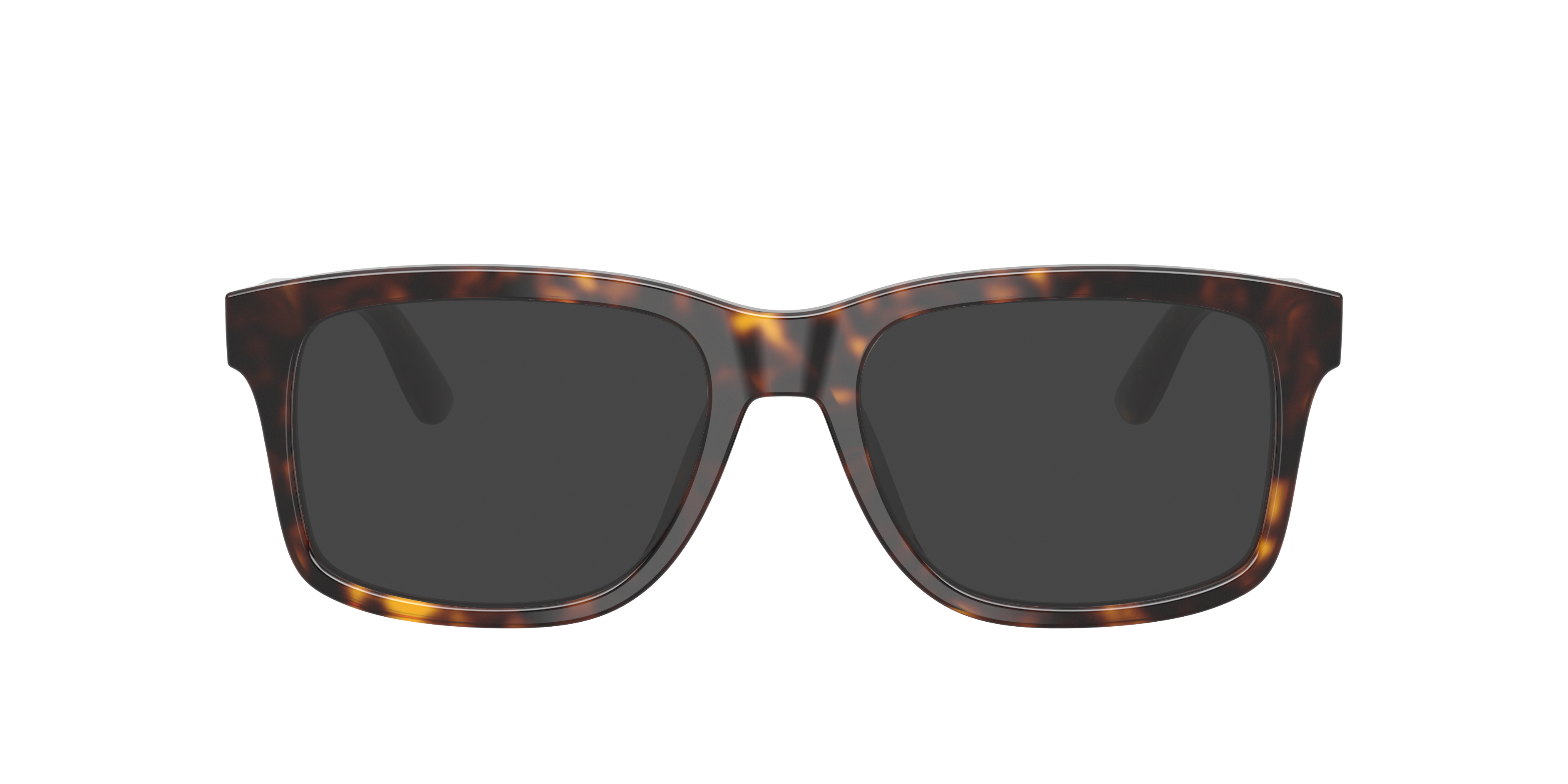 Dolce & Gabbana DG3453 502