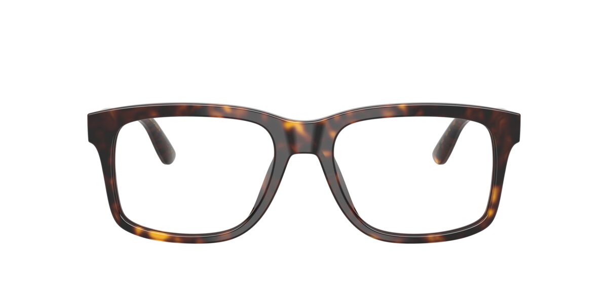 Dolce & Gabbana DG3453 502