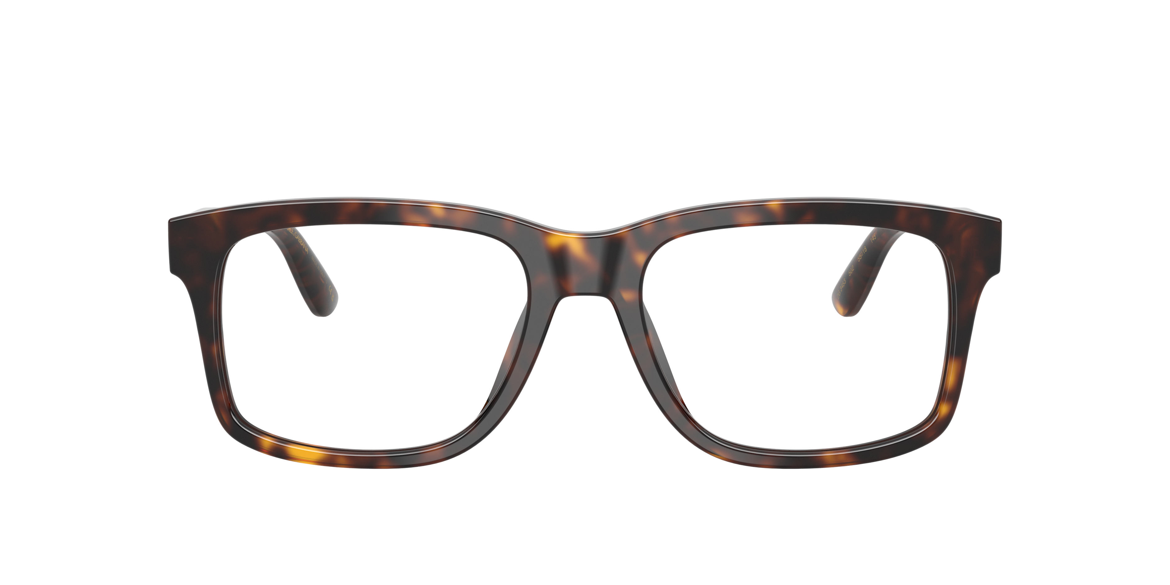Dolce & Gabbana DG3453 502